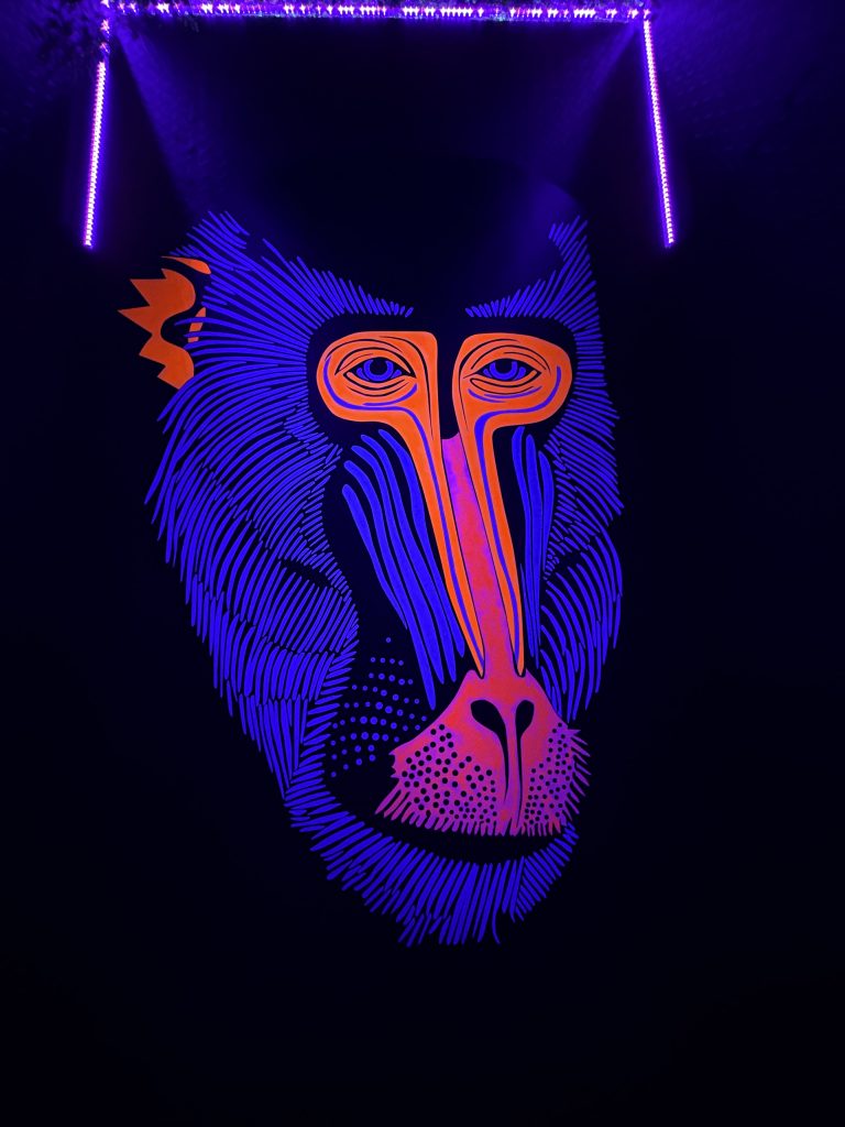 uv gorilla