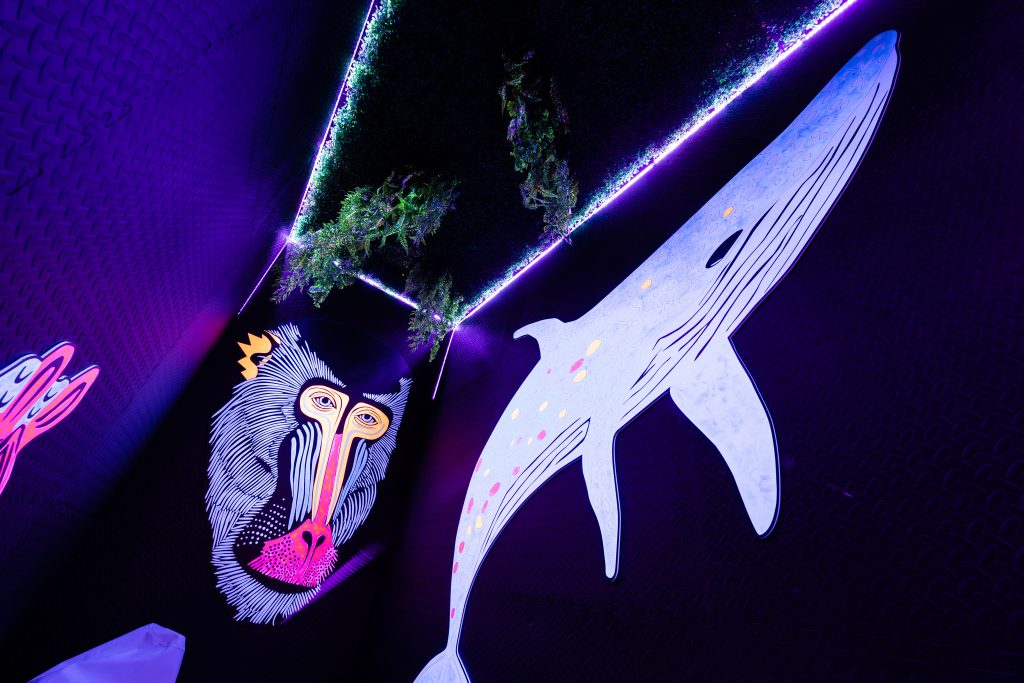 uv tunnel with uv animals